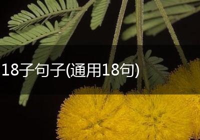18子句子(通用18句)