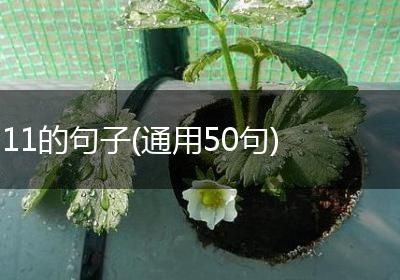 11的句子(通用50句)