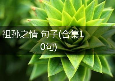 祖孙之情 句子(合集10句)