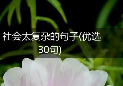 社会太复杂的句子(优选30句)