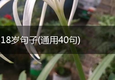 18岁句子(通用40句)