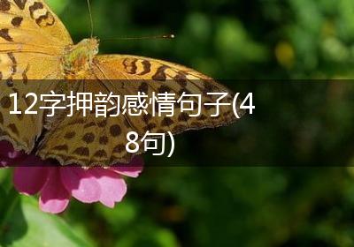 12字押韵感情句子(48句)