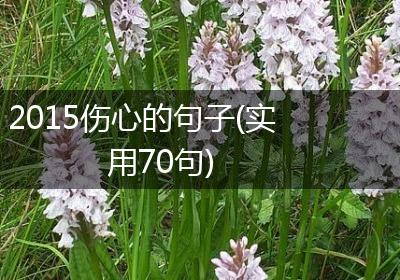 2015伤心的句子(实用70句)