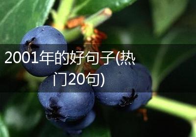 2001年的好句子(热门20句)