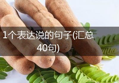 1个表达说的句子(汇总40句)