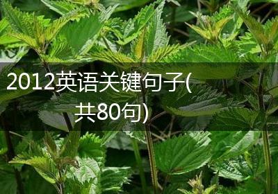 2012英语关键句子(共80句)