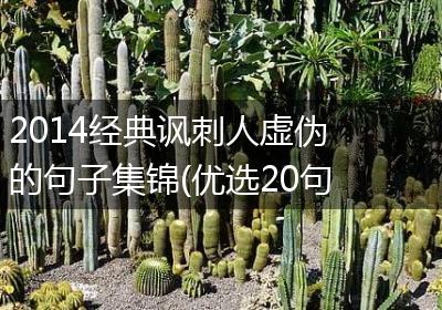 2014经典讽刺人虚伪的句子集锦(优选20句)