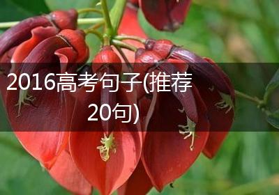 2016高考句子(推荐20句)
