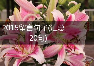 2015留言句子(汇总20句)