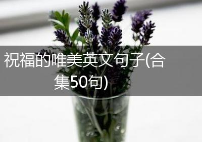 祝福的唯美英文句子(合集50句)