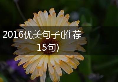 2016优美句子(推荐15句)