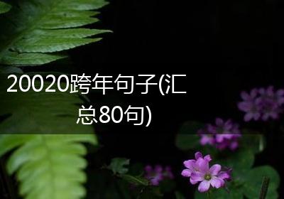 20020跨年句子(汇总80句)