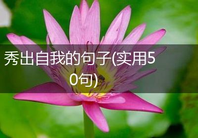 秀出自我的句子(实用50句)
