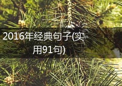 2016年经典句子(实用91句)