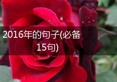 2016年的句子(必备15句)