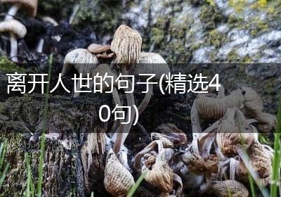 离开人世的句子(精选40句)
