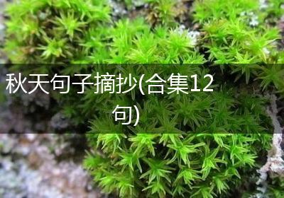 秋天句子摘抄(合集12句)