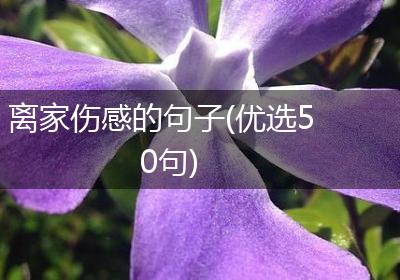 离家伤感的句子(优选50句)