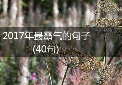 2017年最霸气的句子(40句)