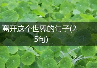 离开这个世界的句子(25句)