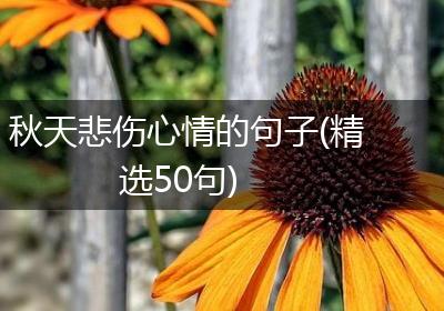 秋天悲伤心情的句子(精选50句)