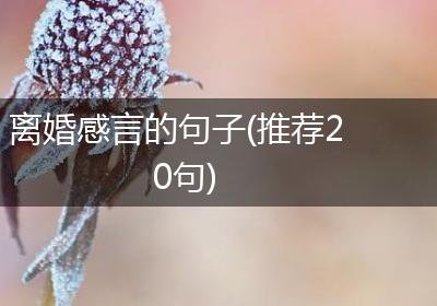 离婚感言的句子(推荐20句)