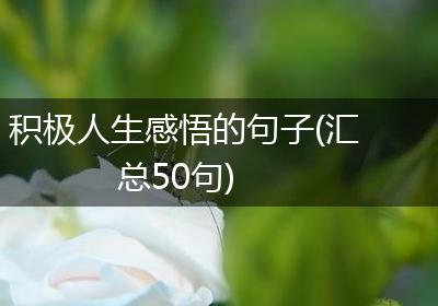 积极人生感悟的句子(汇总50句)