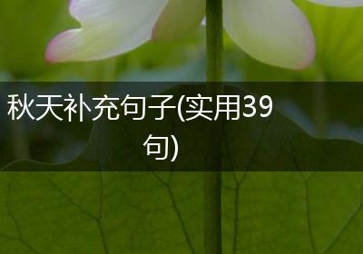秋天补充句子(实用39句)