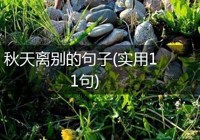 秋天离别的句子(实用11句)