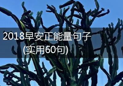 2018早安正能量句子(实用60句)