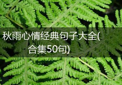 秋雨心情经典句子大全(合集50句)