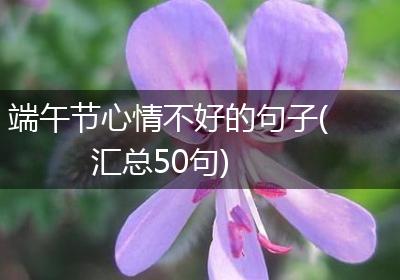 端午节心情不好的句子(汇总50句)