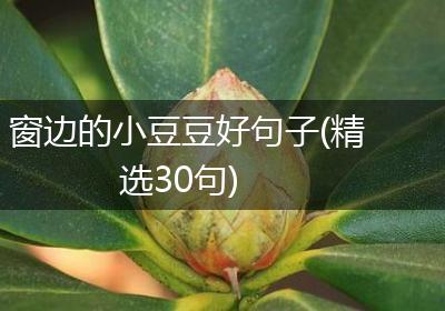 窗边的小豆豆好句子(精选30句)