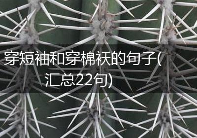 穿短袖和穿棉袄的句子(汇总22句)