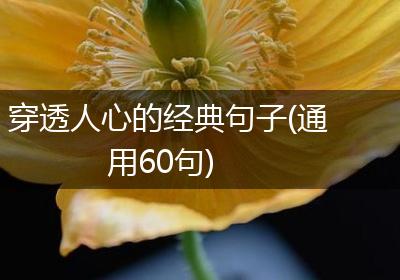 穿透人心的经典句子(通用60句)