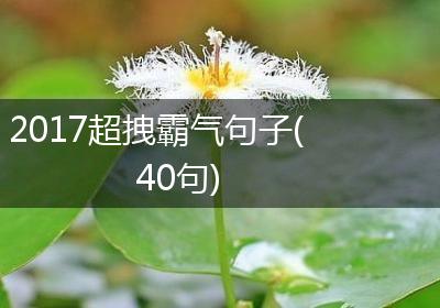 2017超拽霸气句子(40句)