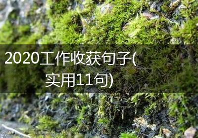 2020工作收获句子(实用11句)