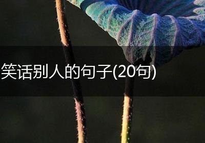笑话别人的句子(20句)