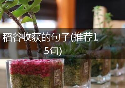 稻谷收获的句子(推荐15句)