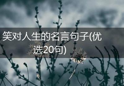 笑对人生的名言句子(优选20句)