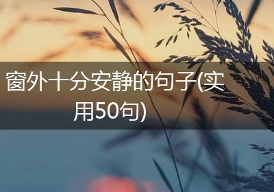 窗外十分安静的句子(实用50句)