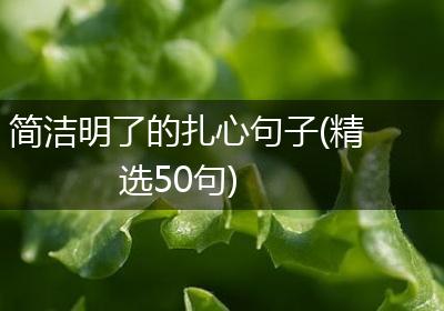 简洁明了的扎心句子(精选50句)
