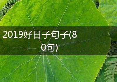 2019好日子句子(80句)