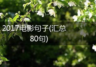 2017电影句子(汇总80句)