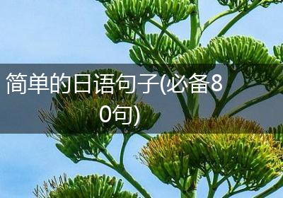 简单的日语句子(必备80句)