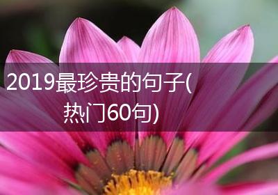 2019最珍贵的句子(热门60句)