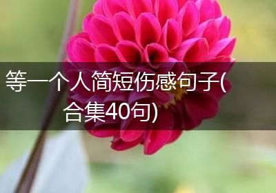 等一个人简短伤感句子(合集40句)