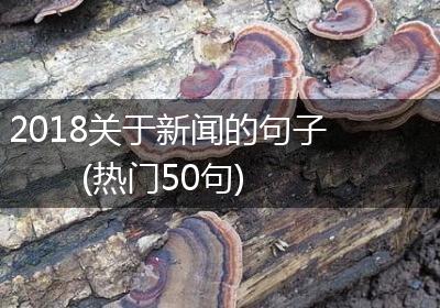 2018关于新闻的句子(热门50句)