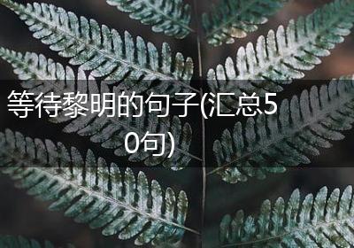 等待黎明的句子(汇总50句)