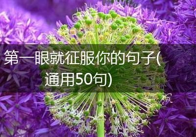 第一眼就征服你的句子(通用50句)